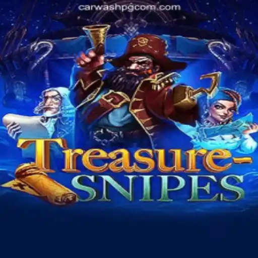 Exploring the Exciting World of TreasureSnipes